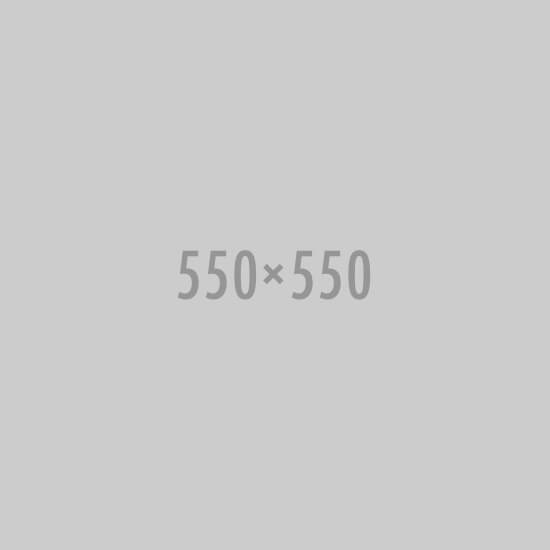 KNO.2364 DISCO DELANTERO