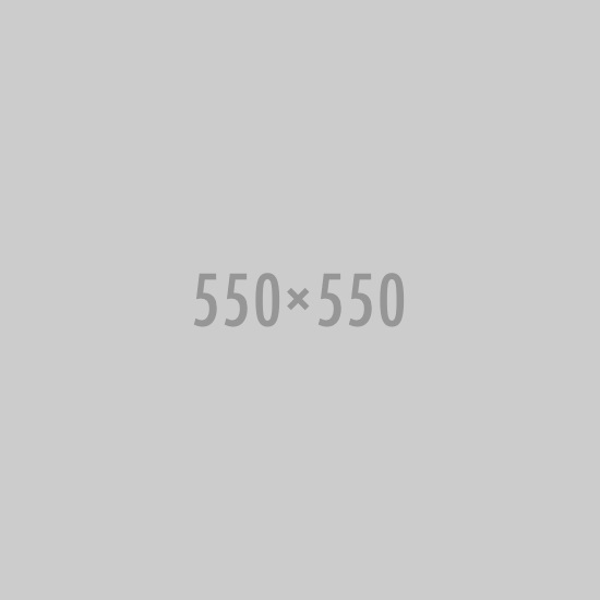 KNO.2458 DISCO DELANTERO